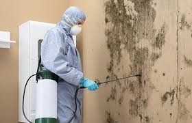 Best HVAC Mold Inspection and Cleaning  in Eldersburg, MD